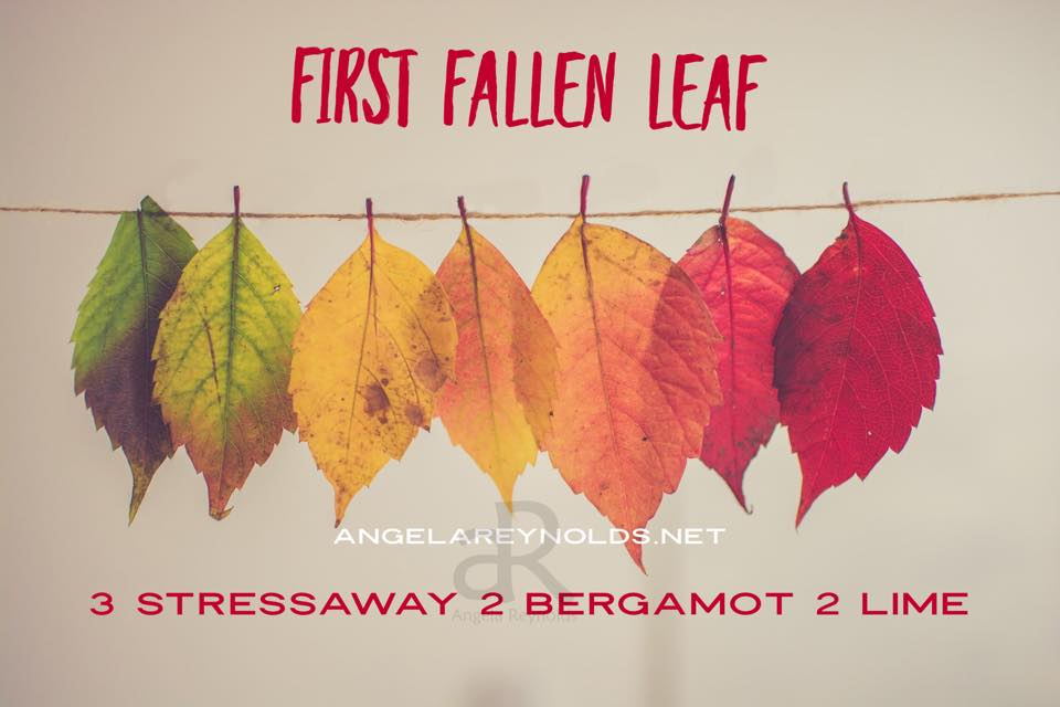 First Fallen Leaf Diffuser Recipe